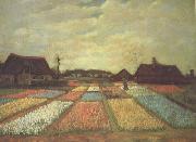 Vincent Van Gogh Bulb Fields (nn04) china oil painting reproduction